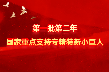 天下仅575家 | 北方Z6尊龙凯时入选第一批第二年国家重点支持专精特新小巨人